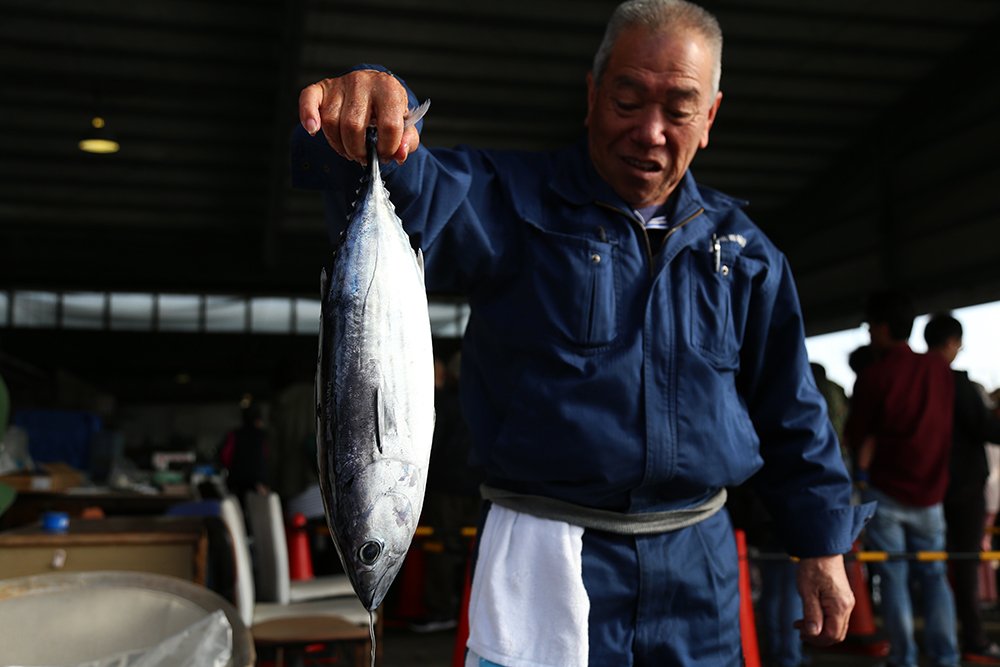 🏖️ 벤텐지마 해변공원 (벤텐지마 카이힌 코엔) 이미지 10